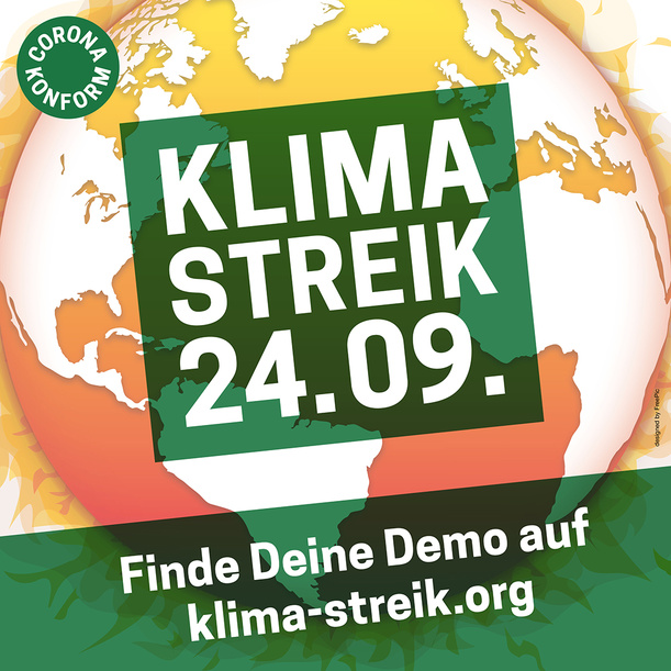 Klimastreik-Instagram-Feed-Demos